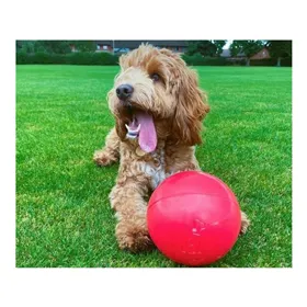 Coupling for 2-dog lead Trixie Black 30 cm S/M
