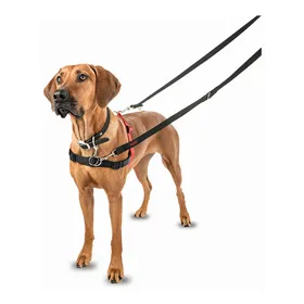 Dog Coat Trixie Orléans Red XS
