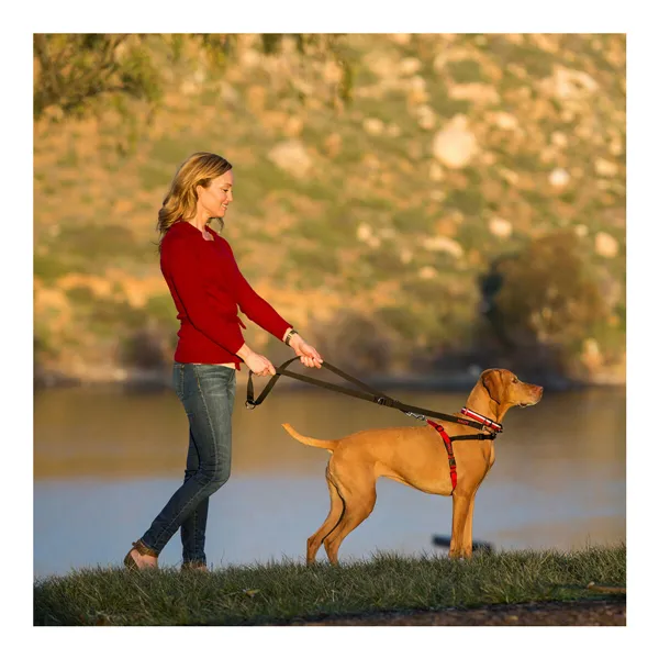 Dog Coat Trixie Orléans Red M