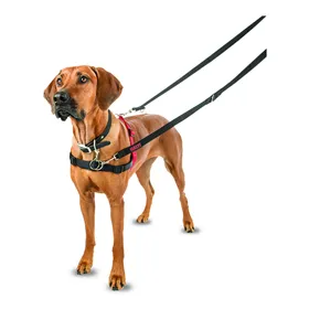 Dog Coat Trixie Orléans Red L