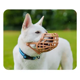 Collapsible Pet Tunnel Trixie Ø 25 × 50 CM