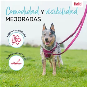 Dog Lead Trixie New Premium Red XS/S