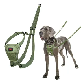 Dog Lead Trixie Mountain Rope Blue Green 1,7 m L/XL