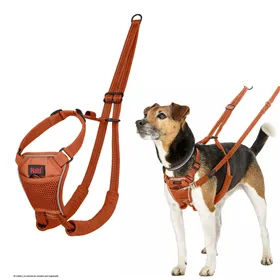 Training collar Trixie New Cavo Black S/M 35-41 cm