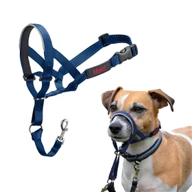 Training collar Trixie New Cavo Red L/XL 52-60 cm