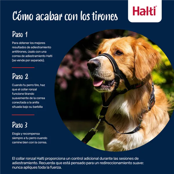 Training collar Trixie New Cavo Red 25-31 cm