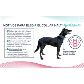 Dog Snack Mediterranean Natural Turkey 800 gr