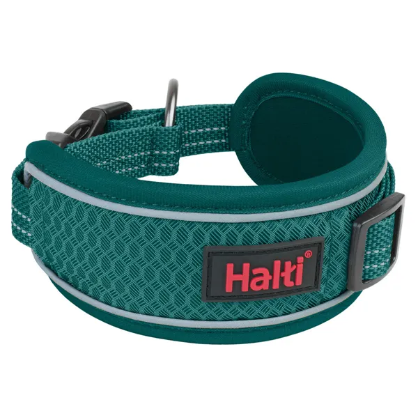 Identification plate for collar Imarc Heart Blue Silver
