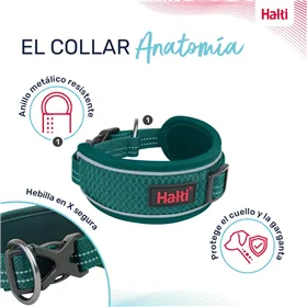 Identification plate for collar Imarc Heart Silver