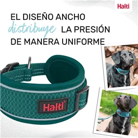 Identification plate for collar Imarc Heart Pink Silver