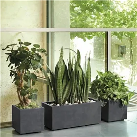 Decorative Stones Akvastabil CAVITY STONE