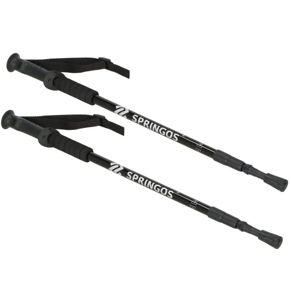 Kepikõnni kepid Springos KG0005