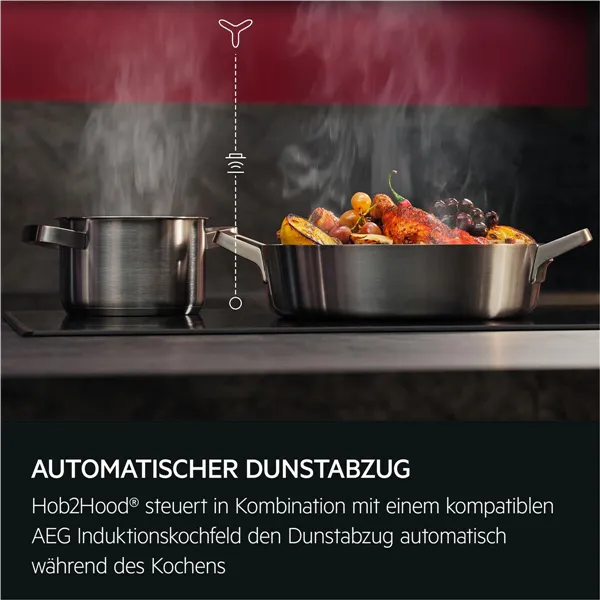 Conventional Hood AEG