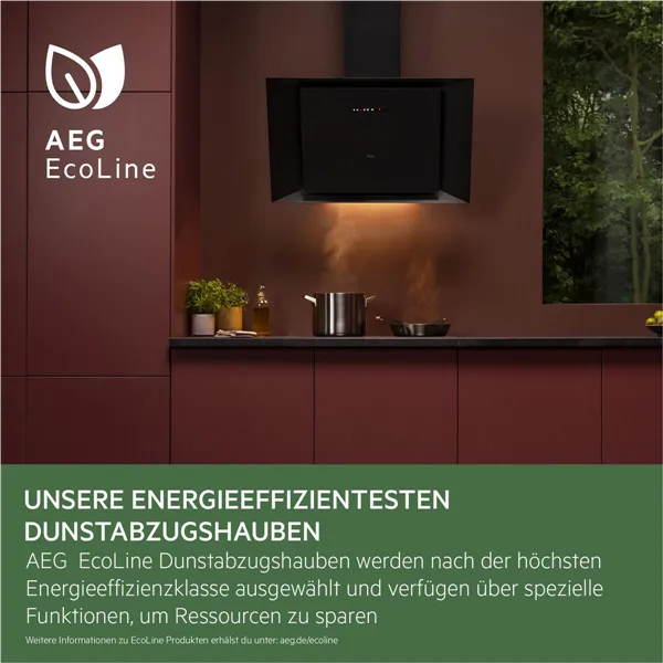 Conventional Hood AEG
