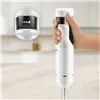 Hand-held Blender UFESA 70106091 White