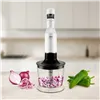 Hand-held Blender UFESA 70106091 White
