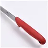Chef's knife Bergner Stainless steel (20 cm)