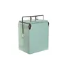 Portable Fridge Home ESPRIT Green PVC Metal Steel polypropylene 17 L 32 x 24 x 43 cm