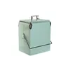 Portable Fridge Home ESPRIT Green PVC Metal Steel polypropylene 17 L 32 x 24 x 43 cm