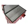Portable Fridge Home ESPRIT Red Metal polypropylene 71 X 59 X 95 CM