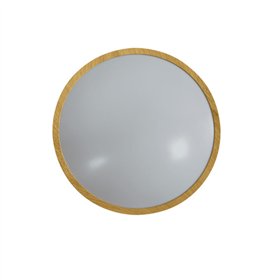 LED lamp Silver Electronics 490509