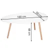 Kavos staliukas Springos HF0013 100 x 60 x 48 CM