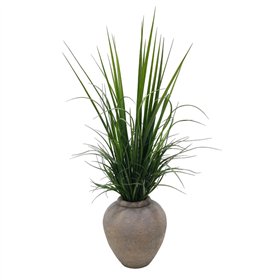 Decorative Plant Home ESPRIT Polyethylene