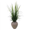 Decorative Plant Home ESPRIT Polyethylene