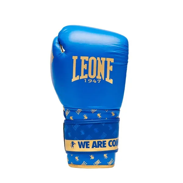 Boxing gloves Leone 1947 DNA