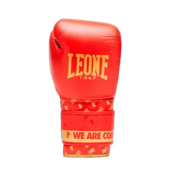 Boxing gloves Leone 1947 DNA