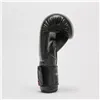 Boxing gloves Leone 1947 Thunder