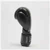 Boxing gloves Leone 1947 Thunder