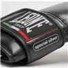 Boxing gloves Leone 1947 Thunder