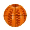 Dog chew toy Springos PA0291