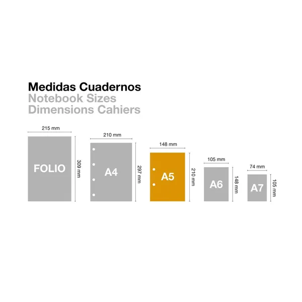 Notebook Miquelrius Micro perforated Black A5 (5 Units)