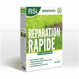 Seeds BSI Reparación Rápida 1 kg