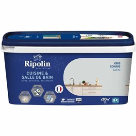 Primer Paint Ripolin Grey Matt 2 L