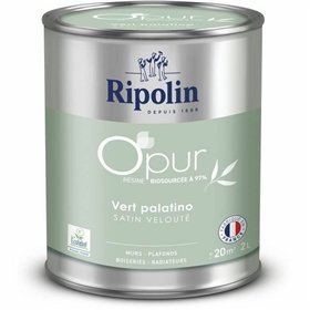 Primer Paint Ripolin