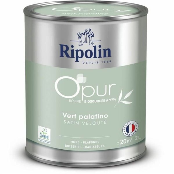 Primer Paint Ripolin