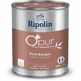 Primer Paint Ripolin
