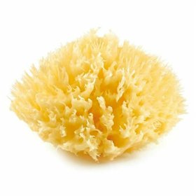 Body Sponge ThermoBaby Yellow