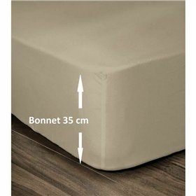 Fitted bottom sheet Lovely Home Beige 180 x 200 180 x 200 cm