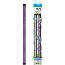LED strips Marshall CIANO CLN5 8 W
