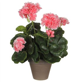 Decorative Plant Mica Decorations PVC Geranium (11,5 x 33 cm)