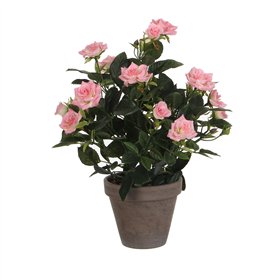 Decorative Plant Mica Decorations Rosal Ceramic PVC