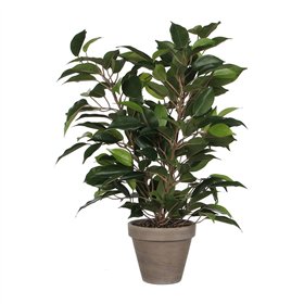Decorative Plant Mica Decorations 40 x 30 cm Ceramic Green PVC Fig Tree