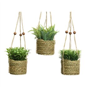 Decorative Plant Everlands 8 x 12 cm Pendant Rope Green PVC
