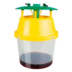 Insecticde Massó Trap Wasps