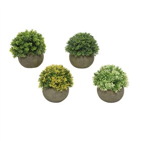 Decorative Plant Everlands Ø 12 cm Plant pot Plastic