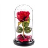 Decorative Figure Caison Rosa roja eterna leds cupula cristal 20 cm